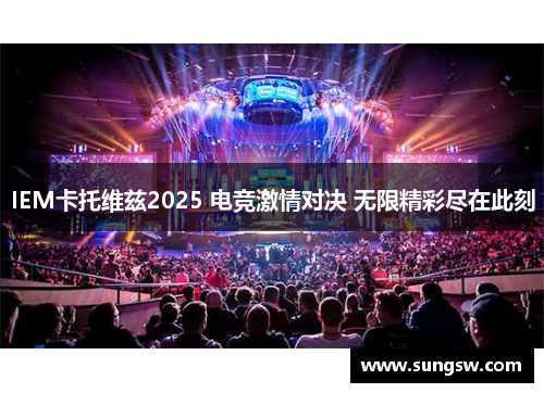 IEM卡托维兹2025 电竞激情对决 无限精彩尽在此刻